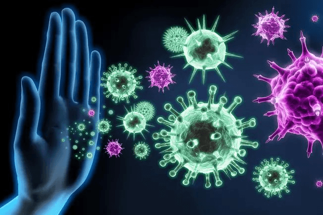 Private consultation imagery for immune-system wellness.